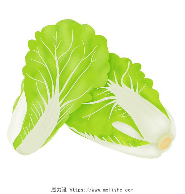 卡通手绘两个大白菜免抠素材瓜果蔬菜元素大白菜蔬菜元素